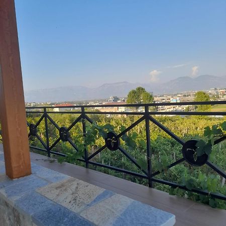 Vila Shehi Guesthouse And Winery Mucaj Εξωτερικό φωτογραφία