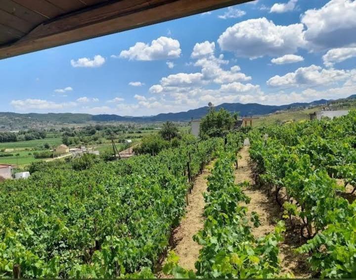 Vila Shehi Guesthouse And Winery Mucaj Εξωτερικό φωτογραφία